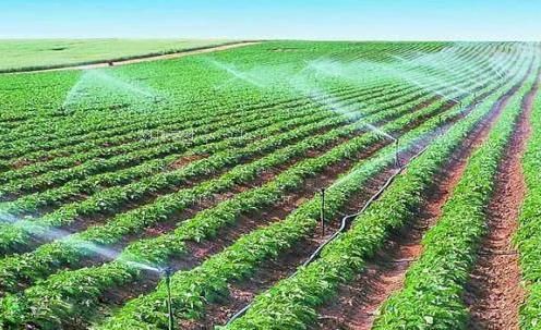 很很操美女的逼农田高 效节水灌溉